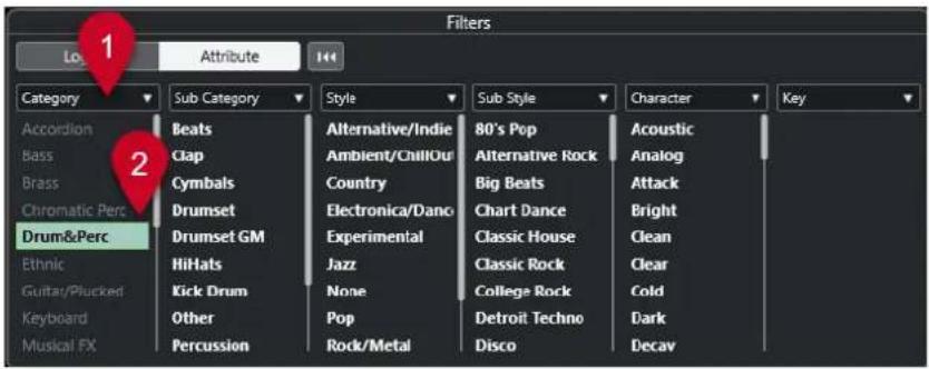 STEINBERG Cubase Artist 13 - Filtre d'attributs - 1