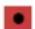 STEINBERG Cubase Artist 13 - Activer l'enregistrement - 1