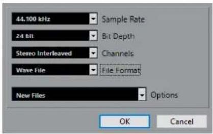 STEINBERG Cubase Artist 13 - Boîte de dialogue Options de conversion - 1
