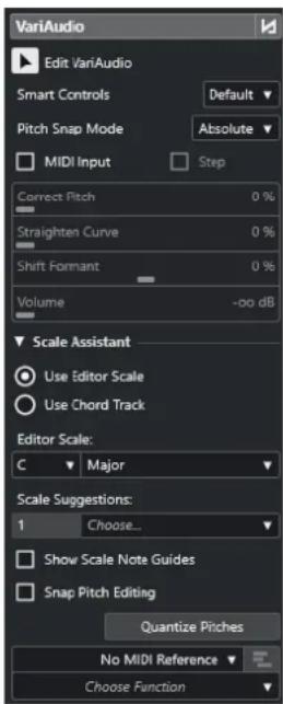 STEINBERG Cubase Artist 13 - Section VariAudio - 1