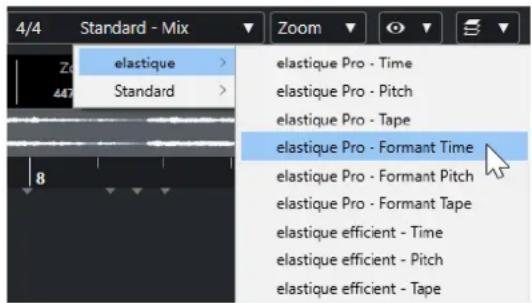 STEINBERG Cubase Artist 13 - Préréglages d'algorithme - 1