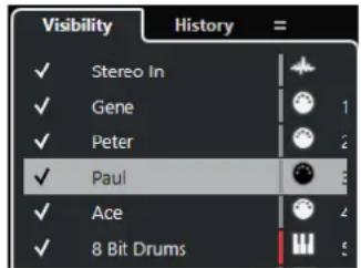 STEINBERG Cubase Artist 13 - Visibilité dans la MixConsole - 1
