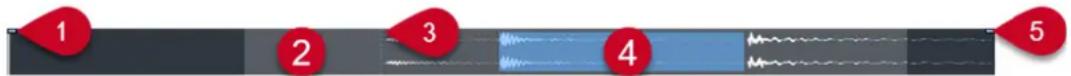 STEINBERG Cubase Artist 13 - Barre d'aperçu - 1