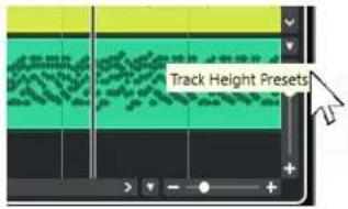STEINBERG Cubase Artist 13 - Menu Préréglages de hauteur de piste - 1