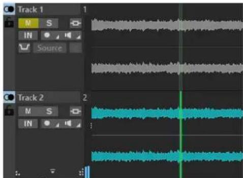STEINBERG WaveLab Elements 11 - Curseur de lecture estompé pour les pistes muettes - 1