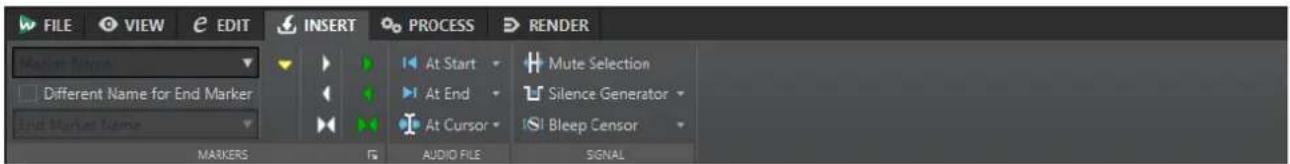 FILE VIEW EDIT INSERT PROCESS RENDER Marker Name Different Name for End Marker End Market Name MARKERS AUDIO FILE SIGNAL At Start At End At Cursor Mute Selection Silence Generator Bleep Censor