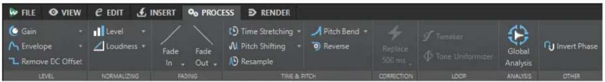 FILE VIEW EDIT INSERT PROCESS RENDER Gain Level Time Stretching Pitch Bend Envelope Loudness Pitch Shifting Reverse Replace 500 ms Tweaker Global Remove DC Offset In Out Resample Tone Uniformizer Analysis Invert Phase LEVEL NORMALIZING FADING TIME & PITCH CORRECTION LOOP ANALYSIS OTHER