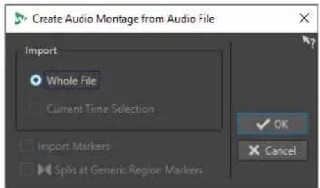 STEINBERG WaveLab Elements 11 - Boîte de dialogue Créer un montage audio depuis un fichier audio - 1