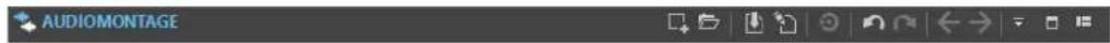 AUDIOMONTAGE