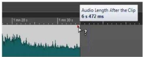 STEINBERG WaveLab Elements 11 - Indicateur de clip redimensionné - 3