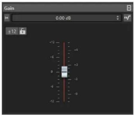 Gain 0.00 dB ±12 +12 -4 +6 +3 0 -3 -6 -9 -12