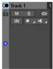 STEINBERG WaveLab Elements 11 - Options - 1