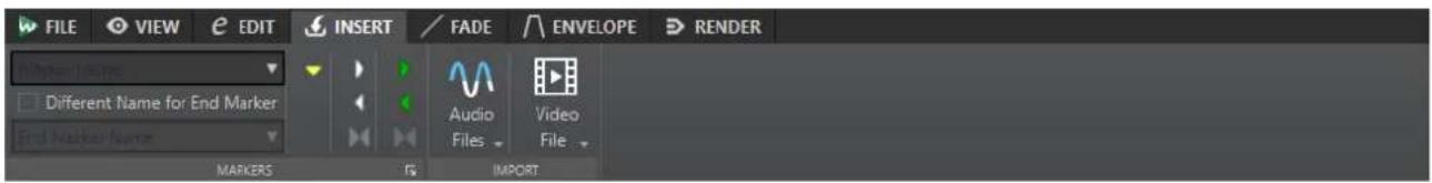 FILE VIEW EDIT INSERT FADE ENVELOPE RENDER Marker Name Different Name for End Marker End Marker Name MARKERS IMPORT Audio Files Video File