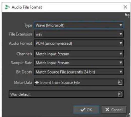 STEINBERG WaveLab Elements 11 - Boîte de dialogue Format de fichier audio - 1
