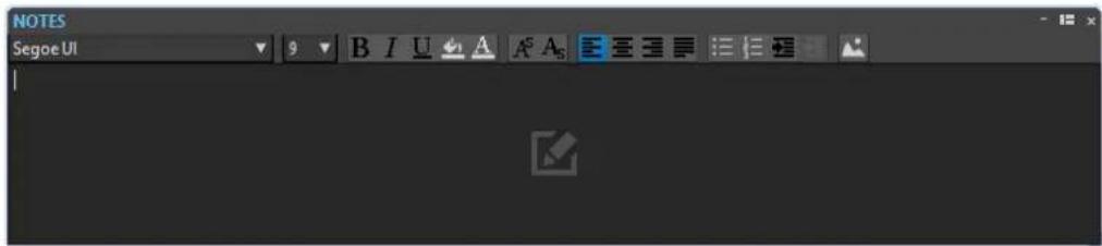 NOTES Segoe UI 9 B I U A A⁵ A₅