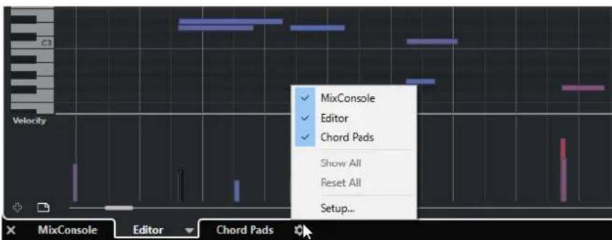 STEINBERG Cubase LE 10.5 - Configurer la zone inférieure - 1