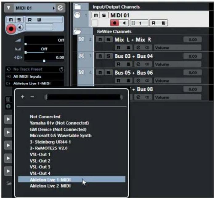 STEINBERG Cubase LE 10.5 - Routage MIDI via ReWire - 1