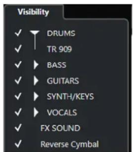 STEINBERG Cubase LE 10.5 - Visibilité dans la MixConsole - 1