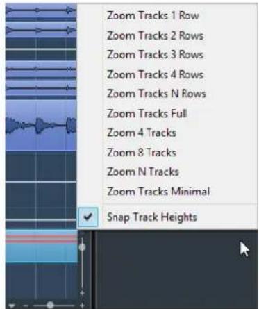 STEINBERG Cubase LE 10.5 - Menu Zoom des pistes - 1