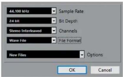 STEINBERG Cubase LE 10.5 - Boîte de dialogue Options de conversion - 1
