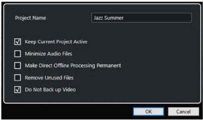 STEINBERG Cubase LE 10.5 - Boîte de dialogue Options de copie de sauvegarde - 1
