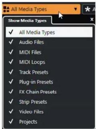 STEINBERG Cubase LE 10.5 - Sélecteur Afficher types de média - 1