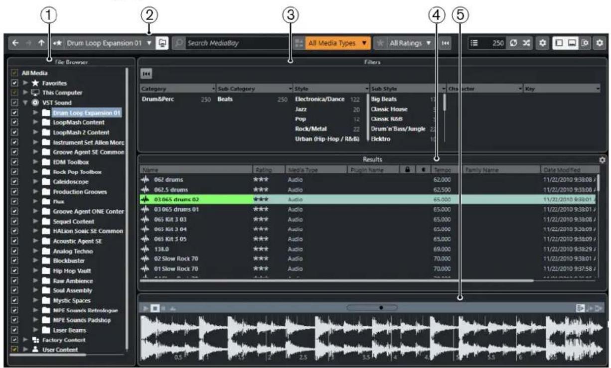 STEINBERG Cubase LE 10.5 - Fenêtre de la MediaBay - 1