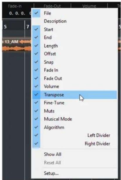 STEINBERG Cubase LE 10.5 - Menus contextuels de configuration - 1