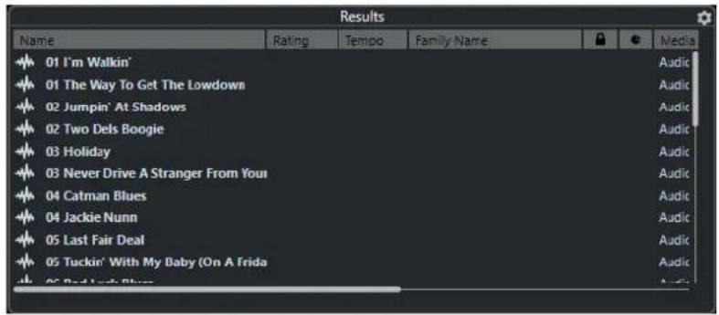 STEINBERG Cubase LE 10.5 - Section Résultats - 1