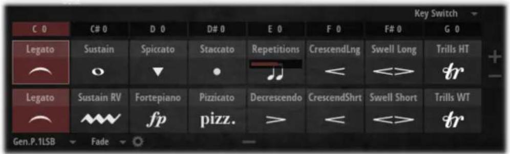 STEINBERG Iconica Sections & Players - Cell Rack - 1
