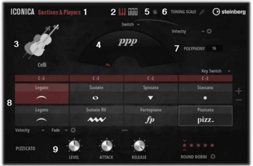STEINBERG Iconica Sections & Players - Interface générale - 1