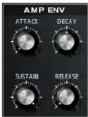 STEINBERG HALion Sonic 2 - Amp Envelope - 1