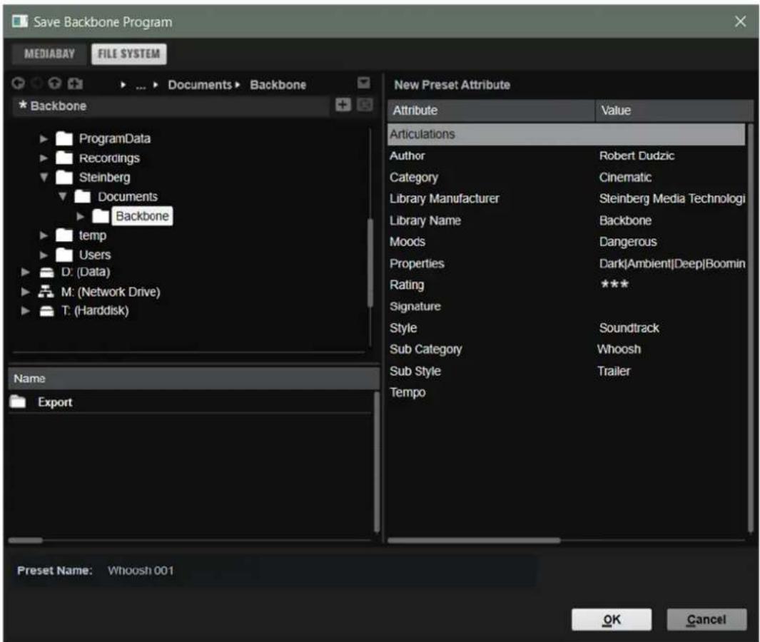 STEINBERG Backbone - Onglet File System - 1