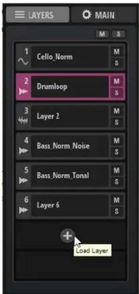 STEINBERG Backbone - Section Layers - 1