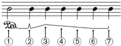 STEINBERG Dorico SE 3.5 - À NOTER - 1