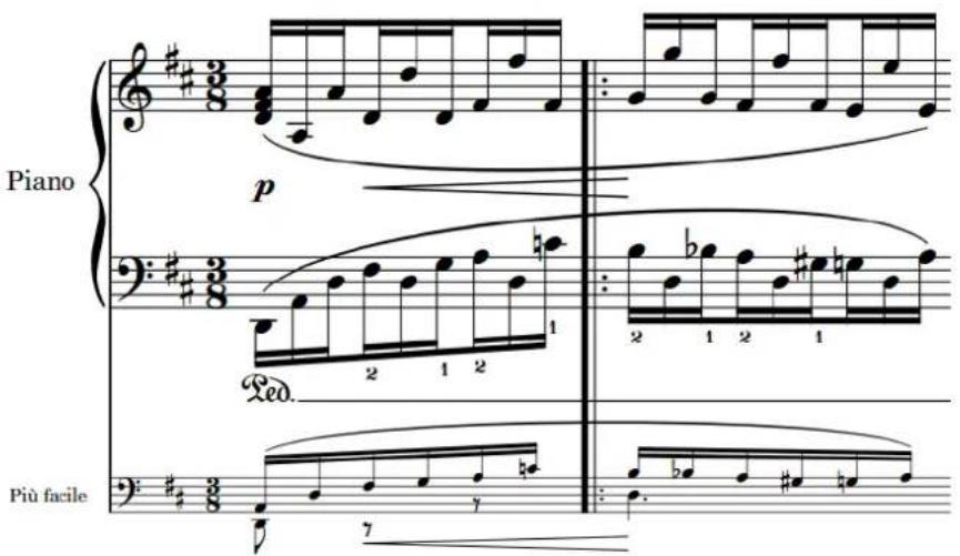 STEINBERG Dorico SE 3.5 - Portées d'ossia - 1