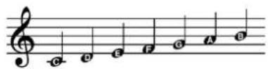 STEINBERG Dorico SE 3.5 - Apparence de l'ensemble de têtes de notes Nom de l'ensemble de têtes de notes - 2