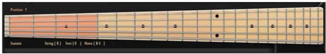 STEINBERG Electric Bass - Section Fretboard - 1