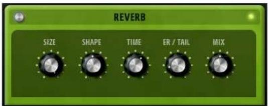STEINBERG Electric Bass - Reverb - 1
