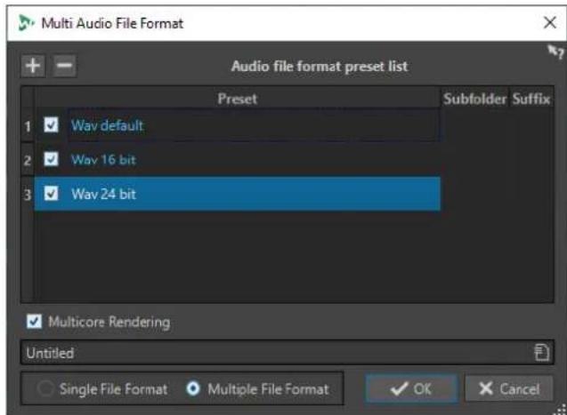 STEINBERG WaveLab Pro 12 - Boîte de dialogue Format de fichier audio multiple - 1