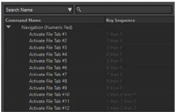 STEINBERG WaveLab Pro 12 - Raccourcis clavier indexés - 1