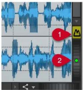 STEINBERG WaveLab Pro 12 - Zoom vertical automatique maximal - 1