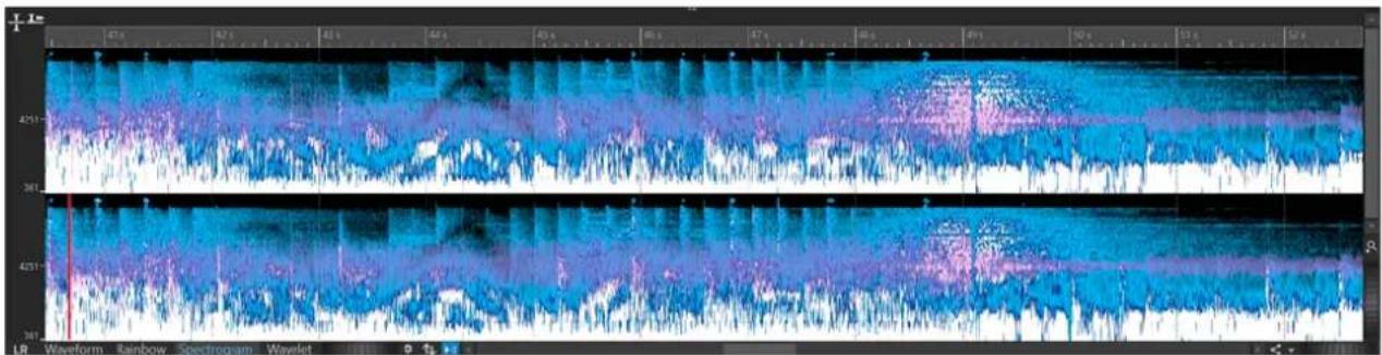 STEINBERG WaveLab Pro 12 - Graphique Spectrogramme - 1