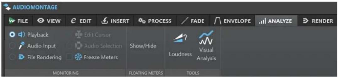 STEINBERG WaveLab Pro 12 - Onglet Analyser - 2
