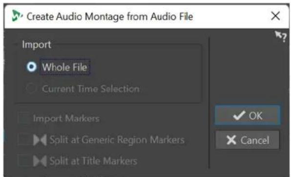 STEINBERG WaveLab Pro 12 - Boîte de dialogue Créer un montage audio depuis un fichier audio - 1