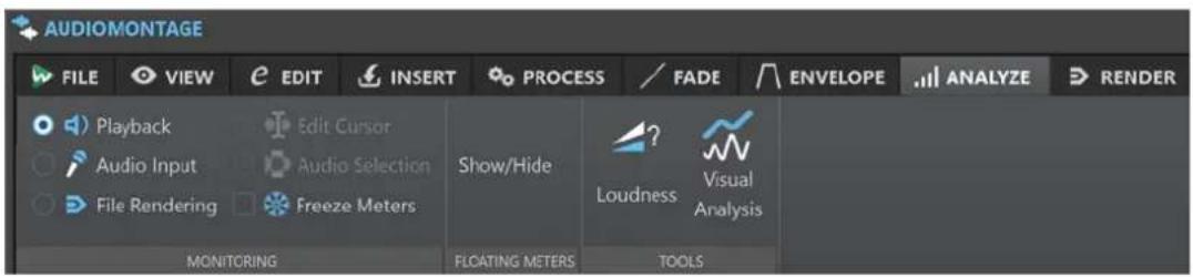 STEINBERG WaveLab Pro 12 - Onglet Analyser - 1