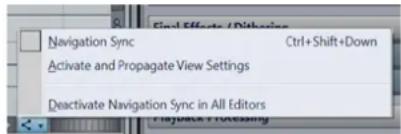 STEINBERG WaveLab Pro 12 - Menu Navigation Synchronisée - 1