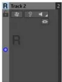 STEINBERG WaveLab Pro 12 - Options - 1