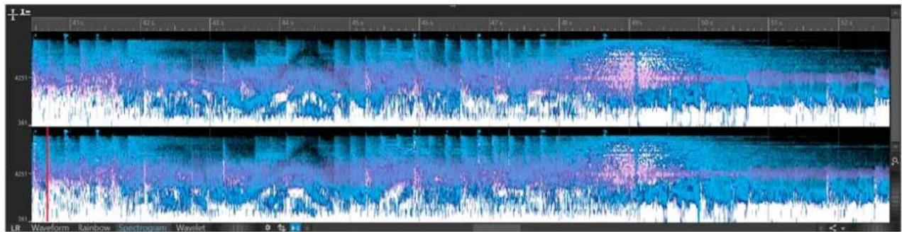 STEINBERG WaveLab Pro 12 - Spectrogramme - 1