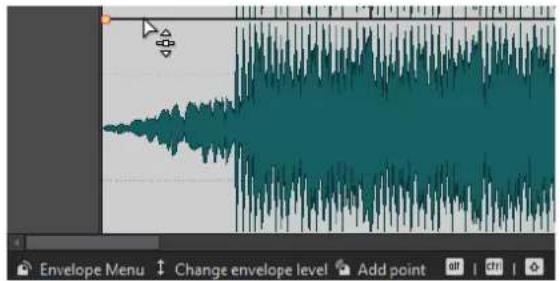 STEINBERG WaveLab Pro 12 - Ligne d'information - 1